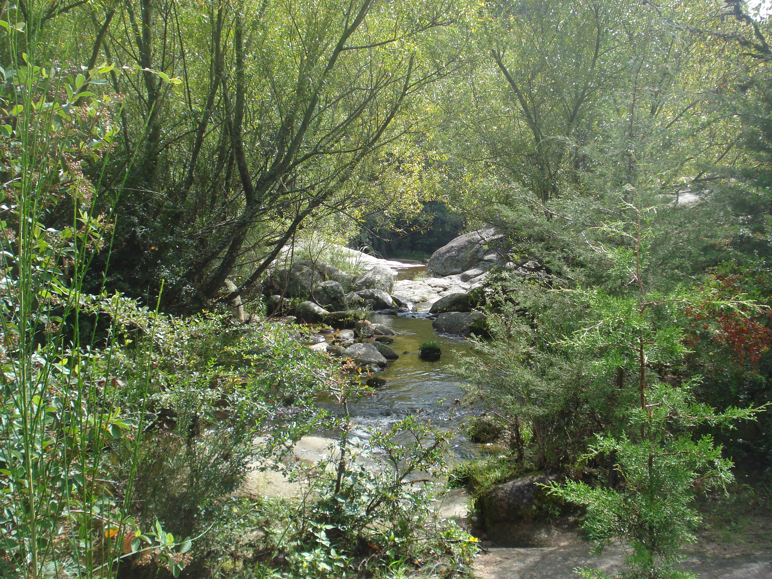 fotos/2011 - Los Reartes/DSC00509.JPG